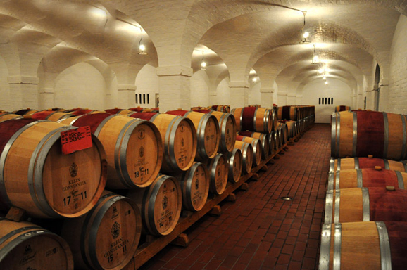 康斯坦提亚：南非最古老迷人的葡萄酒庄